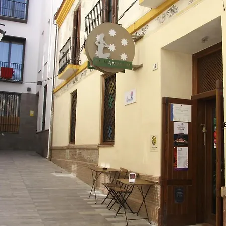 Duplex Tomas De Cozar Málaga